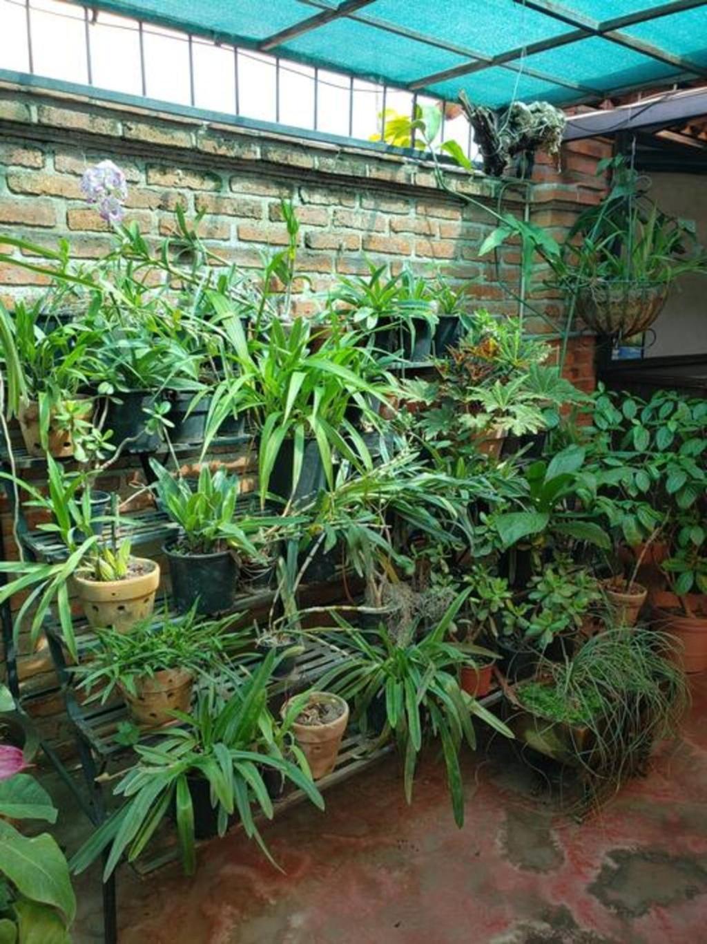 Enjoy Ac In The Penthouse At Inn Ajijic Exteriér fotografie